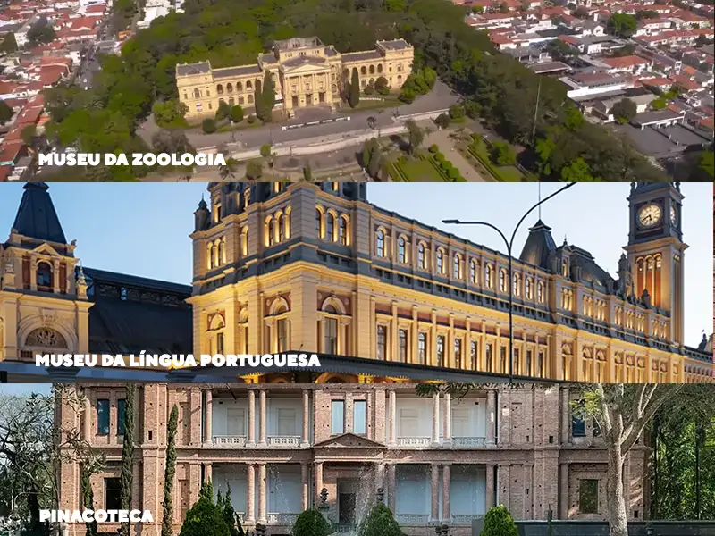 museu_da_zoologia_ligua_pinacoteca