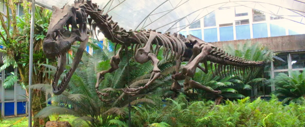 instituto botanica 02