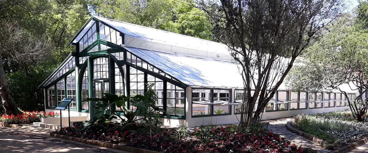 viveiro manequinho lopes 01